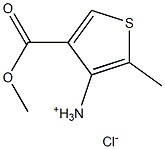 4-氨基-5-甲基噻吩-3-羧酸甲酯鹽酸鹽